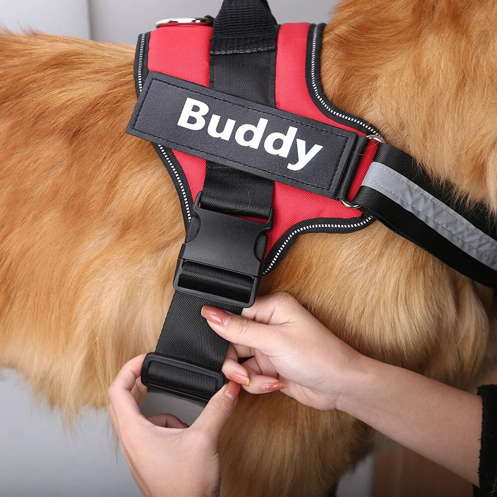 Personalized No-Pull Reflective Dog Harness